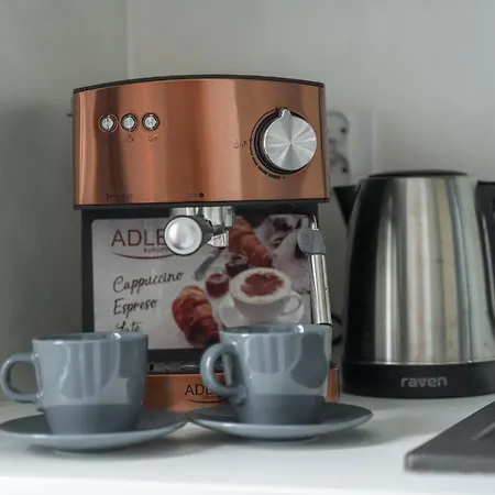 Kamienica Centrum 20 شقة