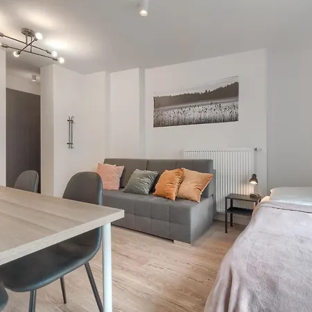 Kamienica Centrum 20 Apartmán Štetín