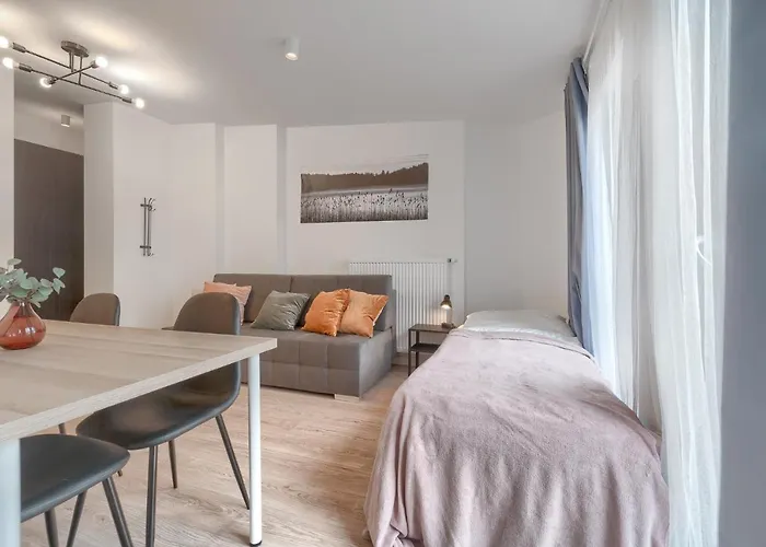 Kamienica Centrum 20 *