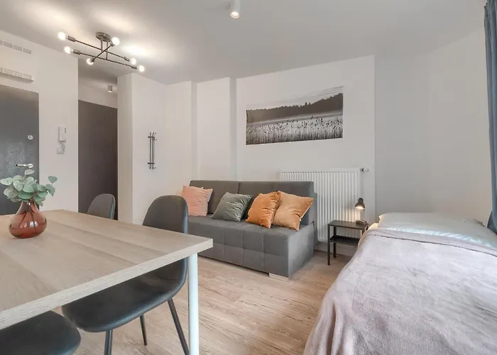 Kamienica Centrum 20 Apartmán Štetín